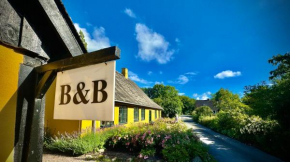 Dyrlev Bed & Breakfast, Præstø